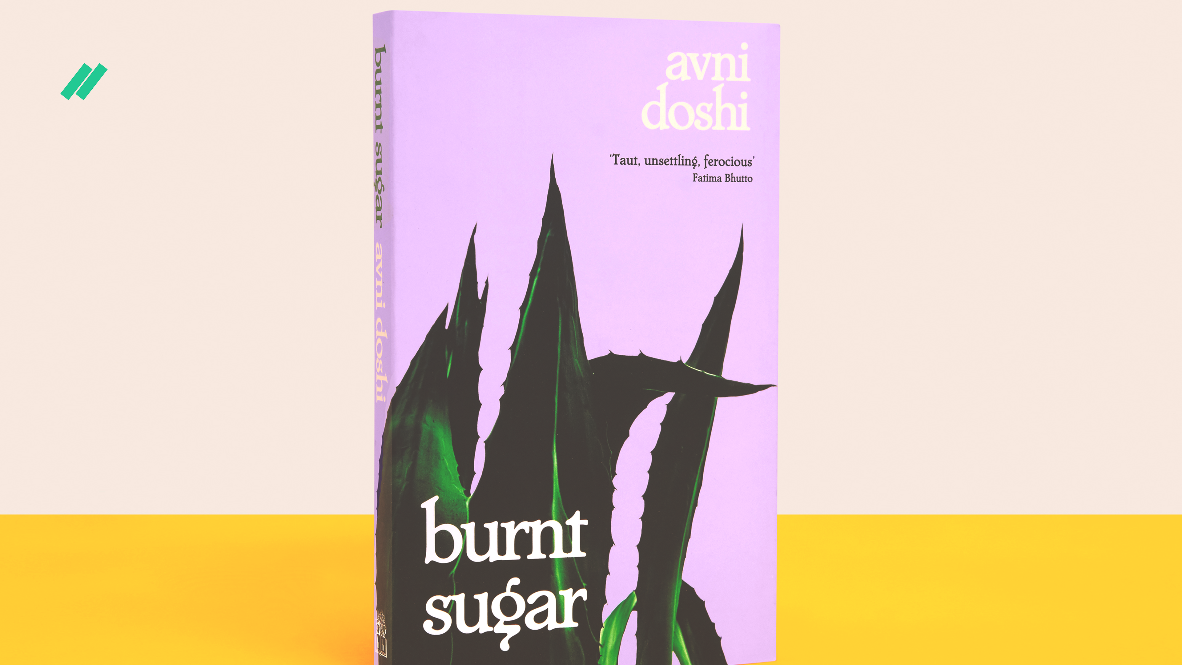 Фото книги «Burnt Sugar»