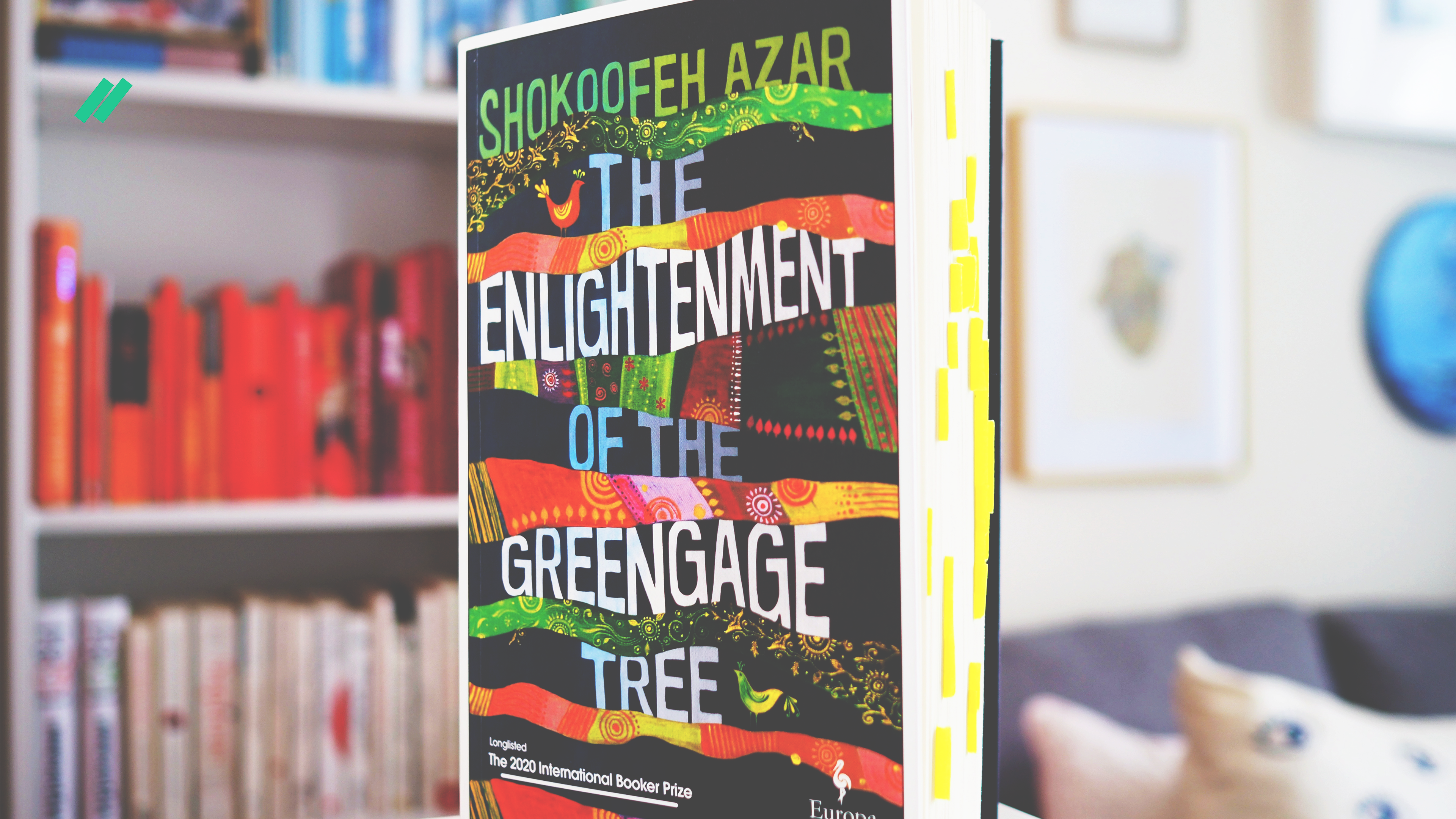 Фото книги «The Enlightenment of the Greengage Tree»