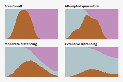 Эти симуляции показывают, как сгладить кривую роста коронавируса.