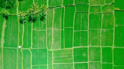10 technologies that could combat climate change as food demand soars