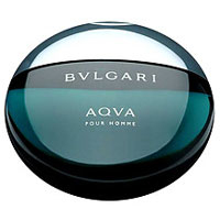 Bvlgari BVLGARI Aqva pour Homme Туалетная вода 100 мл 