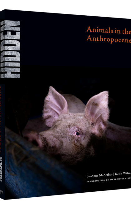 HIDDEN: Animals in the Anthropocene - We Animals Media - 