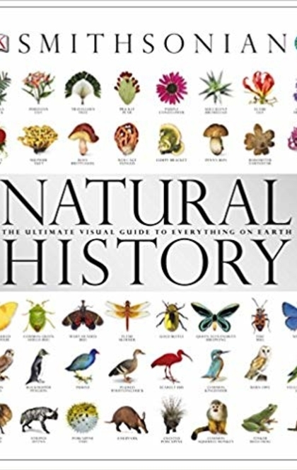 Natural History - Kathryn Hennessy