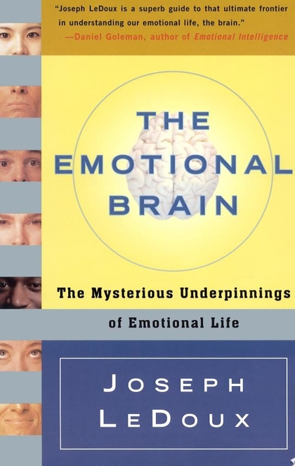 Даниэль брейн читать полностью. Brain emotions. Emotional Brain book. Emotional Brain book Barbara.