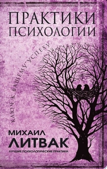 Практики психологии. Ключ к вашему успеху - Михаил Литвак