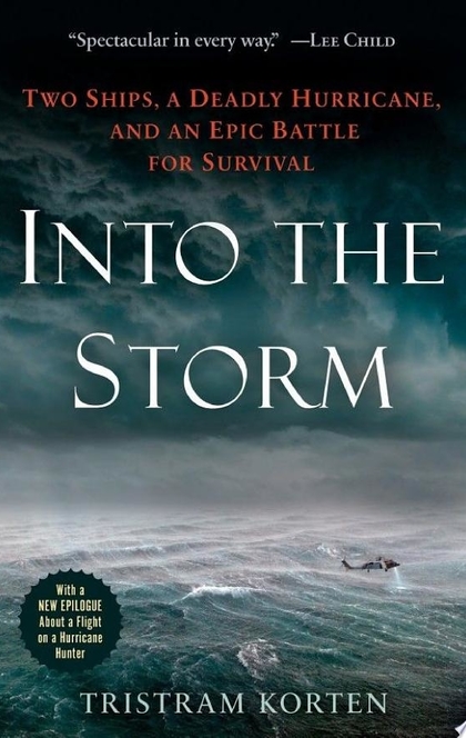 Into the Storm - Tristram Korten