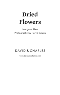 Dried Flowers - Morgane Illes, Hervé Goluza