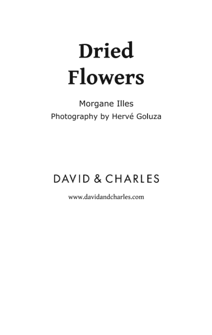 Dried Flowers - Morgane Illes, Hervé Goluza