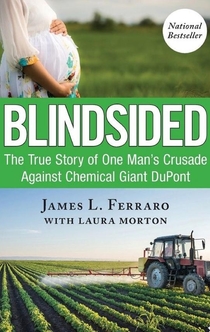 Blindsided - James L Ferraro