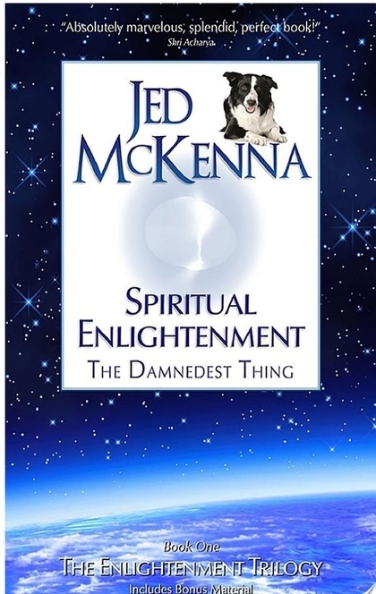 Spiritual Enlightenment:: The Damnedest Thing - Jed McKenna