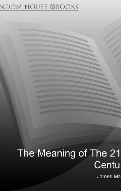The Meaning Of The 21st Century - James Martin