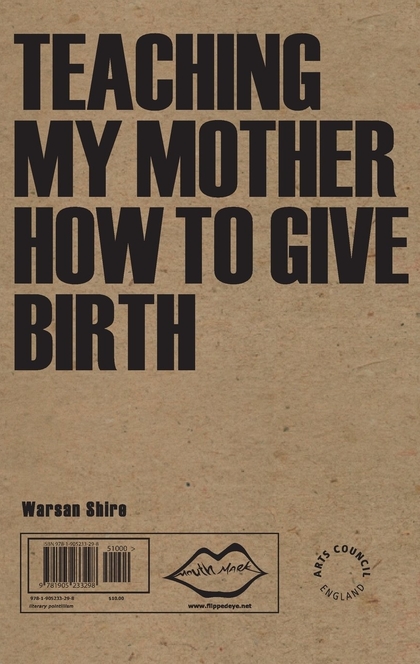 Teaching My Mother how to Give Birth - Warsan Shire