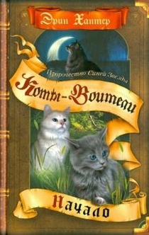 Книги от Хитоми Кот