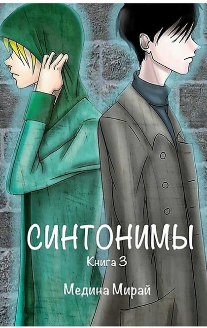 Синтонимы. Книга 3 - Медина Мирай