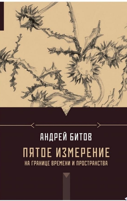 Пятое измерение. На границе времени и пространства (сборник) - Андрей Битов