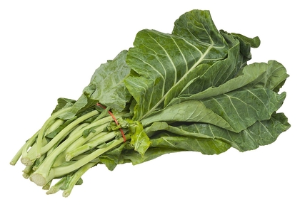 Collard (plant) 