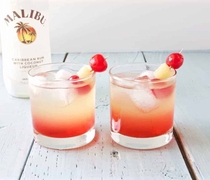 Malibu Cocktail 