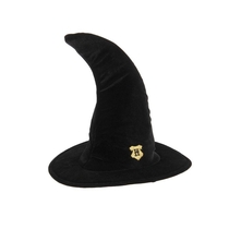 Hogwarts Student Hat