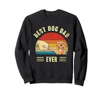 Best Golden Retriever Dog Dad Ever Bump Fit Fathers Day Sweatshirt