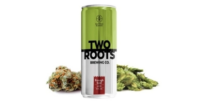 People recommend "Two Roots Brewing's non-alcoholic, THC-, CBD-infused beer explained"