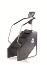 People recommend "StairMaster SM916 StepMill"