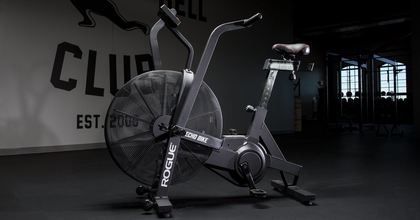People recommend "Rogue Echo Bike"