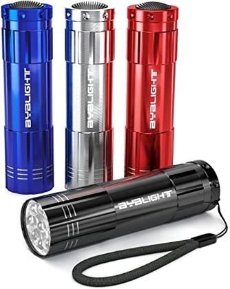 People recommend "BYB Pack of 4, Super Bright 9 LED Mini Aluminum Flashlight with Lanyard"