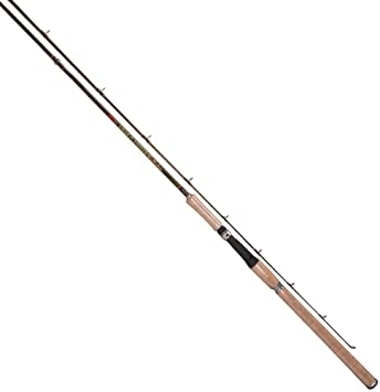 People recommend "Tica HLHB Salmon Steelhead Fishing Rod Series"