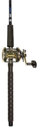 People recommend "Okuma Salmon Trolling Rod/Reel Combo (8-Feet 6-Inch 2-Piece Rod Magda 30 Line Counter)"