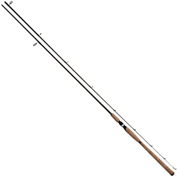 People recommend "Tica HLHB Salmon Steelhead Fishing Rod Series"