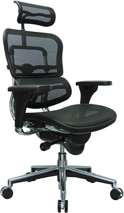 People recommend "Ergohuman High Back Swivel Chair with Headrest, Black Mesh & Chrome Base"