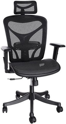 People recommend "ANCHEER Ergonomic Office Chair, High Back Mesh Office Chair with Adjustable Lumbar Support,Armrest and Headrest ( BIMFA Certified )"