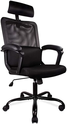 People recommend "Ergonomic Office Chair High Back Office Chair Mesh Desk Chair with Padding Armrest Adjustable Headrest "