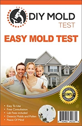 People recommend "DIY Mold Test, Mold Testing Kit (3 tests). Lab Analysis and Expert Consultation included"