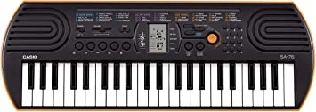 People recommend "Casio SA-76 44-Key Mini Personal Keyboard: Musical Instruments"
