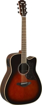 People recommend "Yamaha Series A1R Cutaway Acoustic-Electric Guitar"