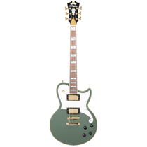 People recommend "D'Angelico Deluxe Atlantic Electric Guitar"