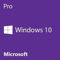 People recommend "Microsoft Windows 10 Pro 64 Bit System Builder OEM"