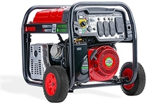 People recommend "A-iPower SUA12000ED 12, 000 Watt Dual Fuel Portable Generator Propane or Gas EPA/CARB, Electric Start + Instant Energy Switch"