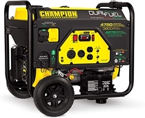 People recommend "Champion 3800-Watt Dual Fuel RV Ready Portable Generator with Electric Start"