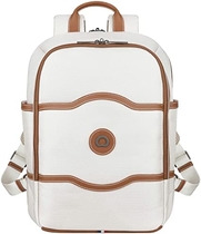 People recommend "DELSEY Paris Chatelet Soft Air Travel Laptop Backpack, Champagne, One Size"