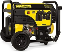People recommend "Champion Power Equipment 7500-Watt Portable Generator with Electric Start"
