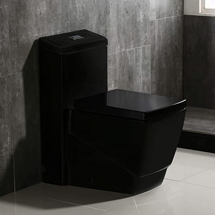 People recommend "WoodBridge T-0020 Dual Flush Elongated One Piece Toilet with Soft Closing Seat, Deluxe Square Design | Black B0921 "