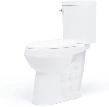 People recommend "20 inch Extra Tall Toilet. Convenient Height bowl taller than ADA Comfort Height. Dual flush, Metal handle, Slow-close seat -"
