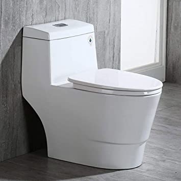 People recommend "WOODBRIDGE T-0001, Dual Flush Elongated One Piece Toilet with Soft Closing Seat, Comfort Height, Water Sense, High-Efficiency, Rectangle Button B-0940 Pure White "