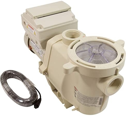 People recommend "Pentair 011028 IntelliFlo VS Pool Pump, Almond "