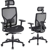 People recommend "SUNNOW Ergonomic Office Chair Computer Mesh Chair with Adjustable Lumbar Support, Sliding Seat, Headrest, 3D Armrest-High Back Swivel Task Executive Chair for Home Office"