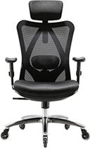 People recommend "XUER Ergonomics Office Chair Mesh Computer Desk Chair,Adjustable Headrests Chair Backrest and Armrest's Mesh Chair (Black)"