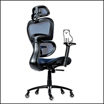 People recommend "ObjectChair ErgoPro Ergonomic Office Chair - Desk Chair with Adjustable Lumbar Support, Breathable Mesh Back and Wheels - Gaming Chair, Computer Chair, Home Office Desk Chairs, Rolling Chair (Blue)"