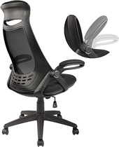 People recommend "High-Back Ergonomic Office Desk Chair Mesh Executive Computer Chair Height Adjustable with Headrest and Flip-up Arms (Black)"